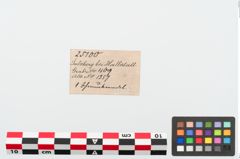 Etikett zu Bronzemehrkopfnadel (NHMW-PRAE-025100)